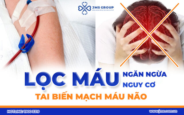 Lọc mỡ máu - Ngăn ngừa tai biến mạch máu não